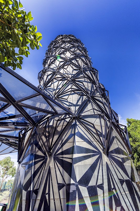 Botanical Beauty at Mount Coot-tha Gardens - Mount Coot-tha Botanic Gardens