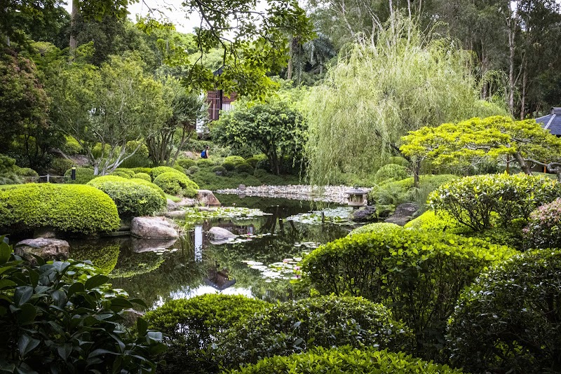 Botanical Beauty at Mount Coot-tha Gardens - Mount Coot-tha Botanic Gardens