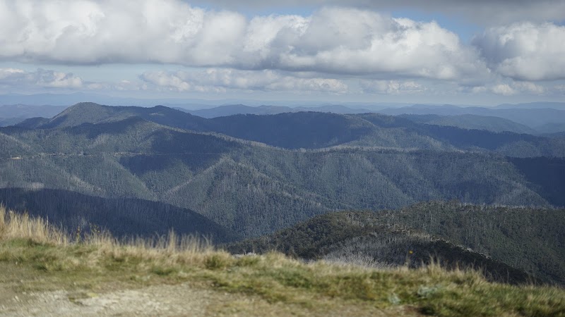 The Great Alpine Escape: Victoria's Scenic Wonder - Great Alpine Road