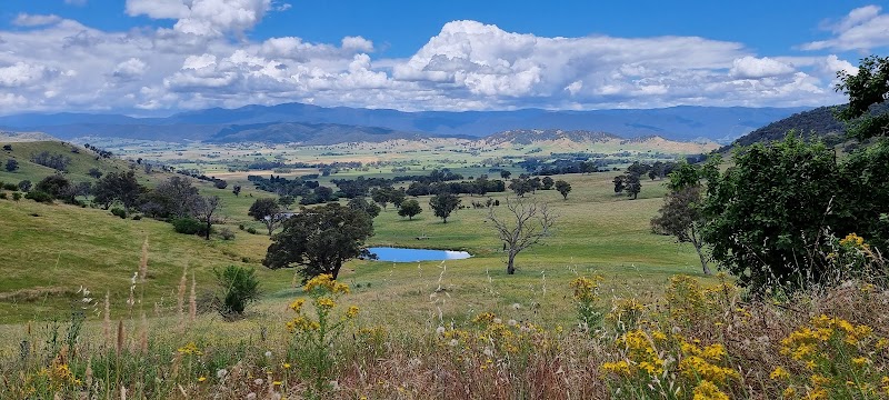 Discover Snowy River's Breathtaking Beauty in Australia - Snowy River