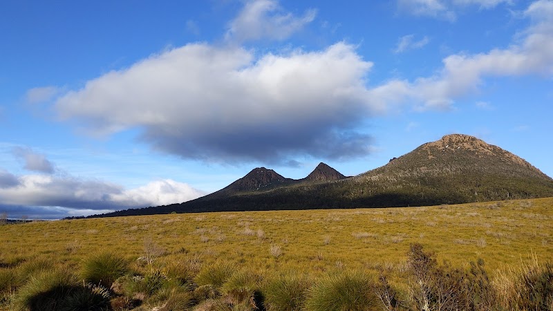Nature's Symphony at Franklin-Gordon Wild Rivers National Park - Franklin-Gordon Wild Rivers National Park