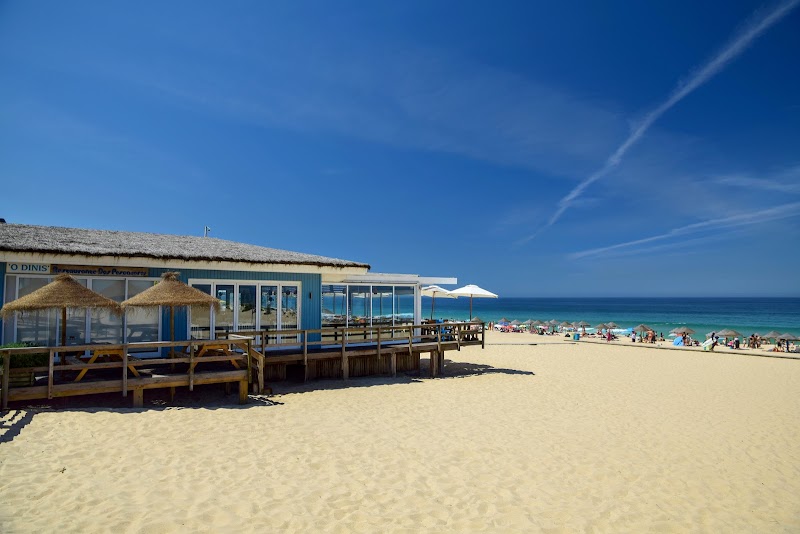 Sandy Splendors at Carvalhal Beach - Carvalhal Beach