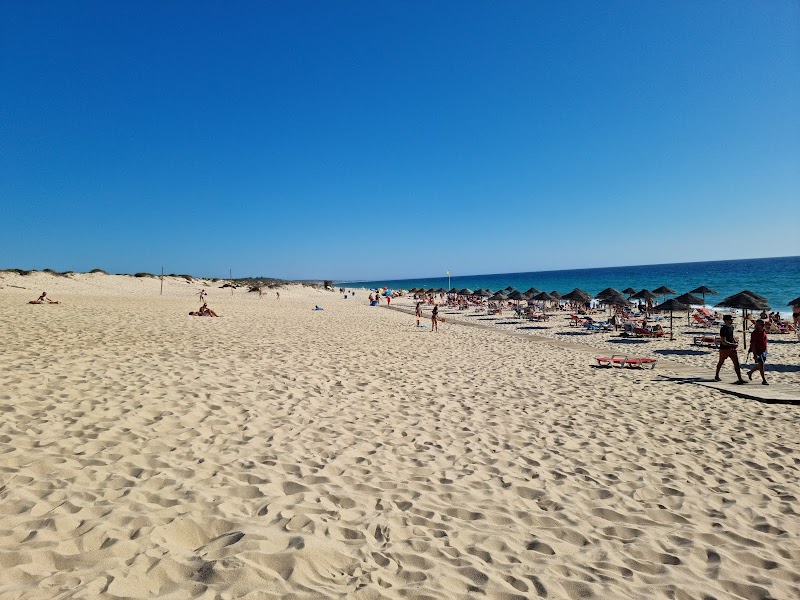 Sandy Splendors at Carvalhal Beach - Carvalhal Beach