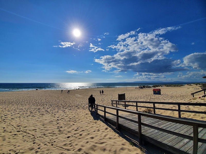 Sandy Splendors at Carvalhal Beach - Carvalhal Beach