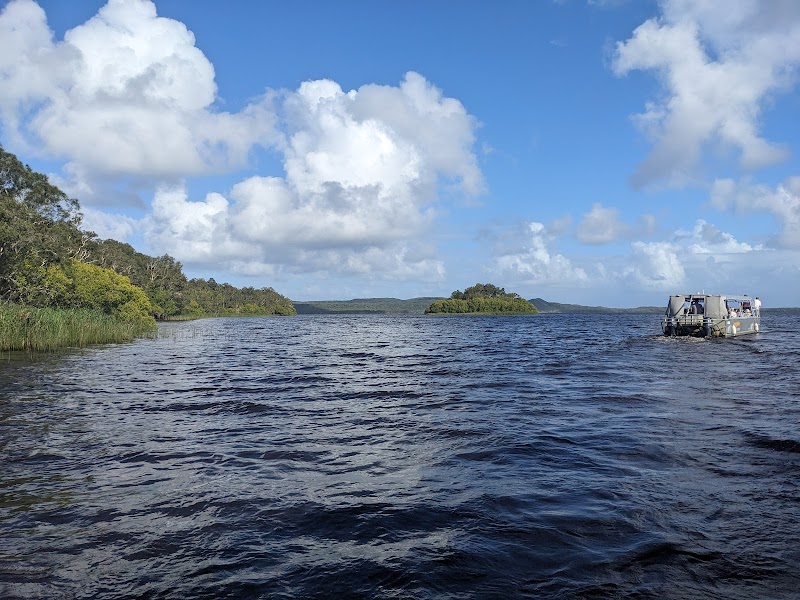 Nature's Mirror: Everglades Eco Safaris in Boreen Point - Everglades Eco Safaris