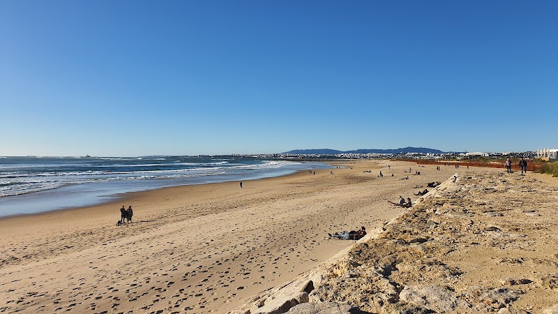 Sun-Kissed Shores: Praia de São João - Praia de São João