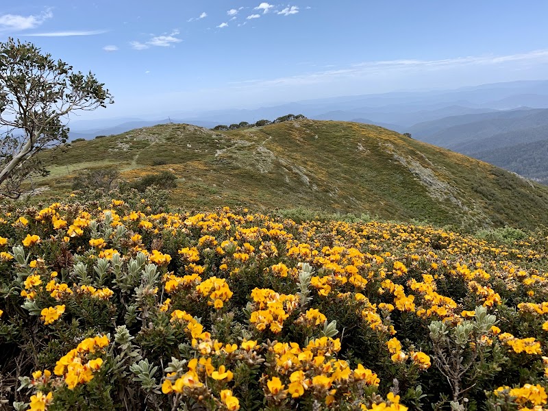 Majestic Mountain Retreat: Mount Bogong - Mount Bogong