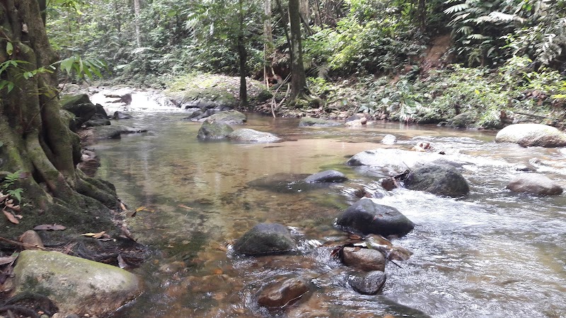 Sungai Tua Recreational Forest adventures