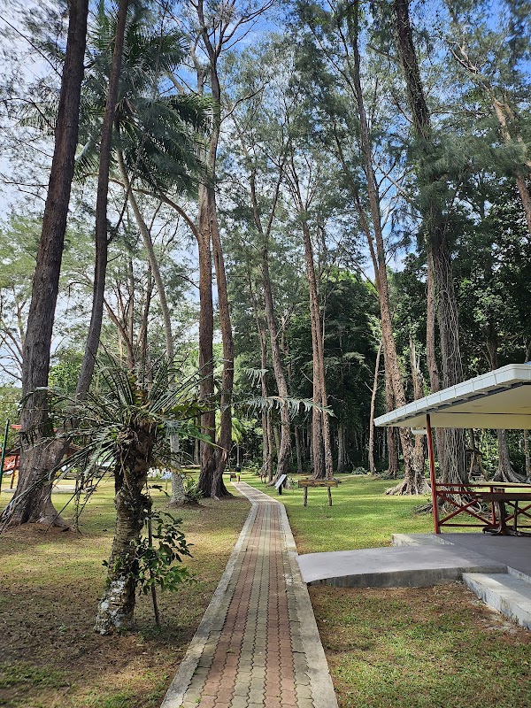 Nature’s Paradise: Pulau Tiga in Sabah - Pulau Tiga
