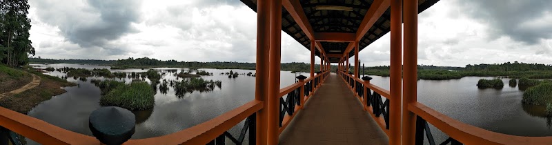 Discover the Allure of Bera Lake - Bera Lake