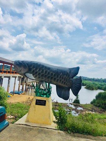 Discover the Allure of Bera Lake - Bera Lake