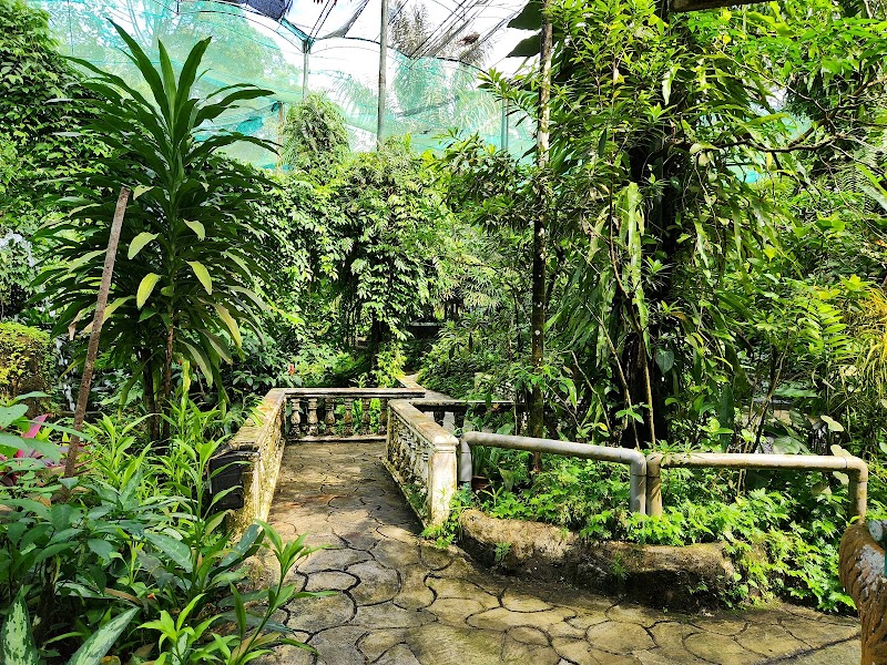 Butterflies & Blooms: Kuala Lumpur Butterfly Park - Kuala Lumpur Butterfly Park