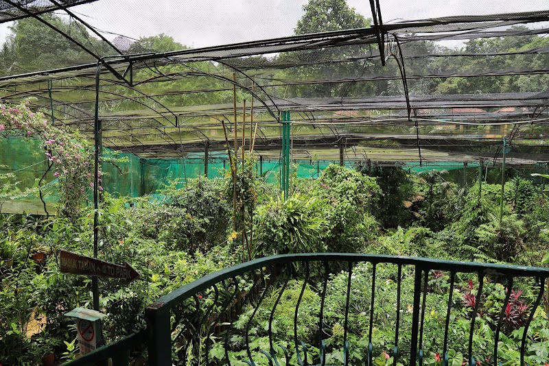 Butterflies & Blooms: Kuala Lumpur Butterfly Park - Kuala Lumpur Butterfly Park