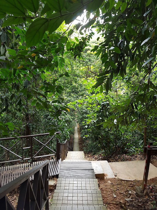 Treetop Walks in KL Forest Eco Park - KL Forest Eco Park