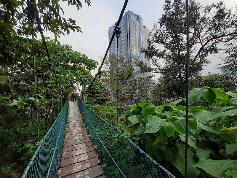 Treetop Walks in KL Forest Eco Park - KL Forest Eco Park