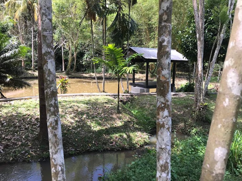 Nature Retreat in Kampung Janda Baik - Kampung Janda Baik