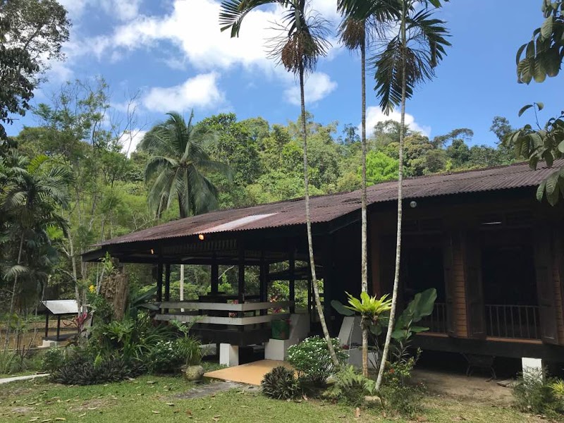 Nature Retreat in Kampung Janda Baik - Kampung Janda Baik