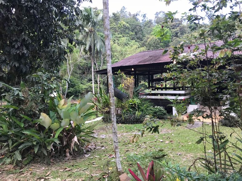Nature Retreat in Kampung Janda Baik - Kampung Janda Baik
