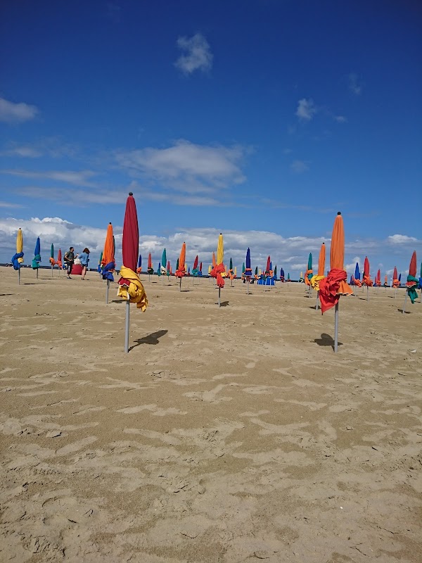 Beachside Bliss at Deauville Beach - Deauville Beach