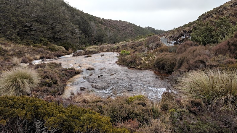 Whakapapa Nature Walk: A Serene Journey in Manawatu-Wanganui outdoor detail