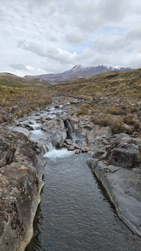 Whakapapa Nature Walk: A Serene Journey in Manawatu-Wanganui - Whakapapa Nature Walk