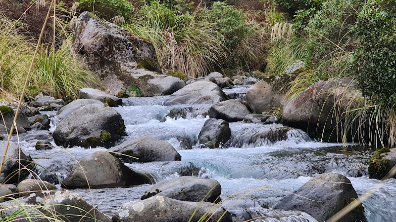 Whakapapa Nature Walk: A Serene Journey in Manawatu-Wanganui - Whakapapa Nature Walk