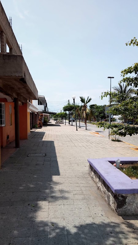 Sun-Kissed Shores of Manzanillo Beach - Manzanillo Beach