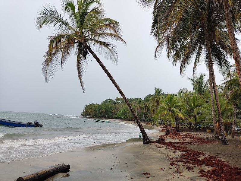 Sun-Kissed Shores of Manzanillo Beach - Manzanillo Beach
