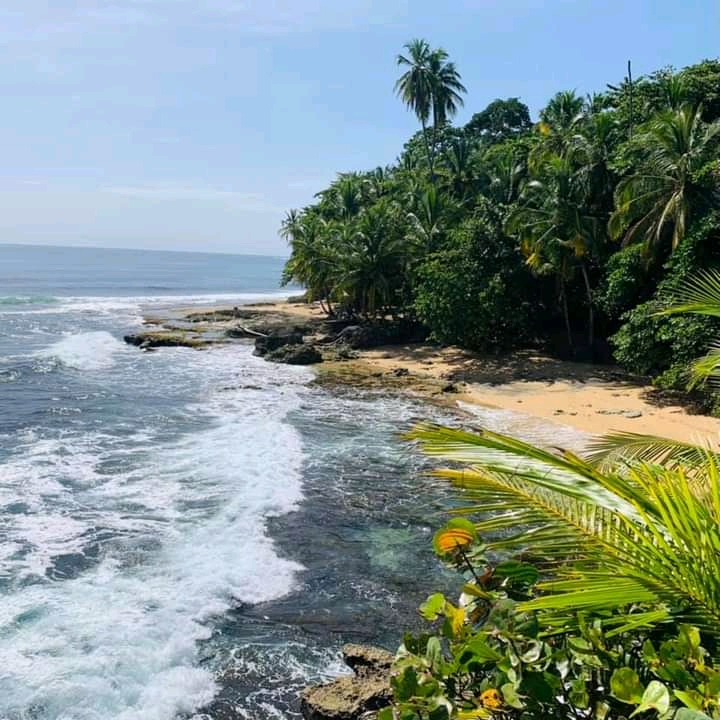 Sun-Kissed Shores of Manzanillo Beach - Manzanillo Beach