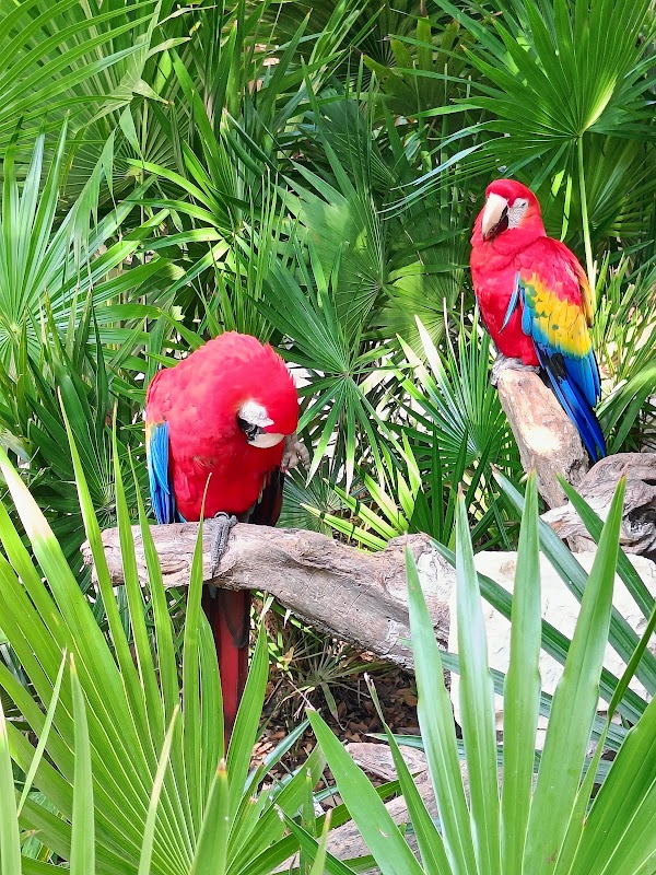 Adventure Awaits at Xel-Há Park - Xel-Há Park