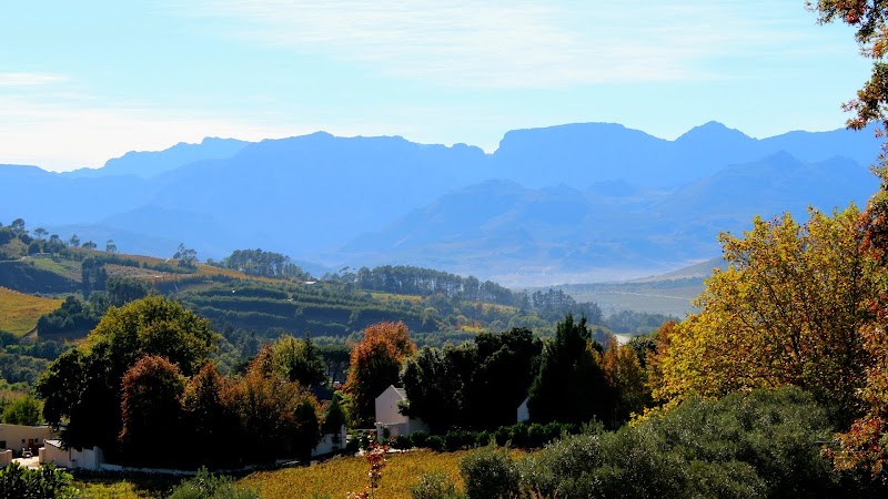 Stellenbosch: Nature's Retreat in the Heart of the Cape Winelands - Stellenbosch