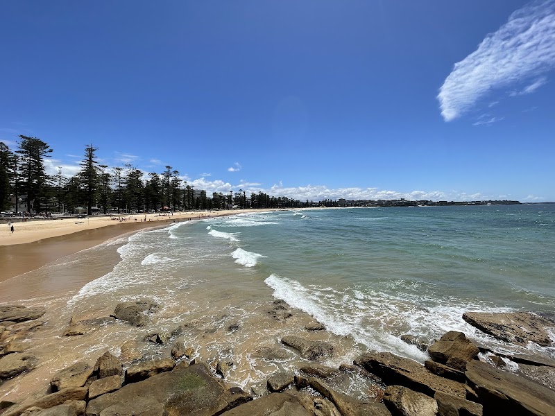 Sun-Kissed Shores of Manly Beach - Manly Beach