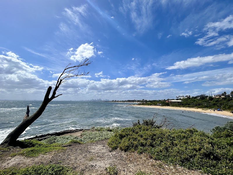 Colorful Charm of Brighton Beach surrounding landscape