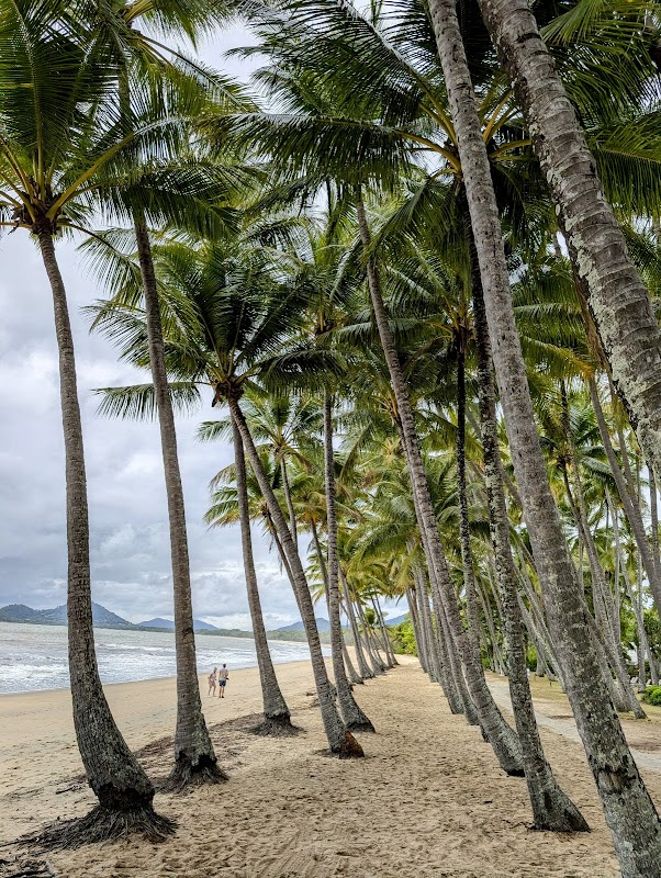 Paradise Found: Palm Cove Beach - Palm Cove Beach