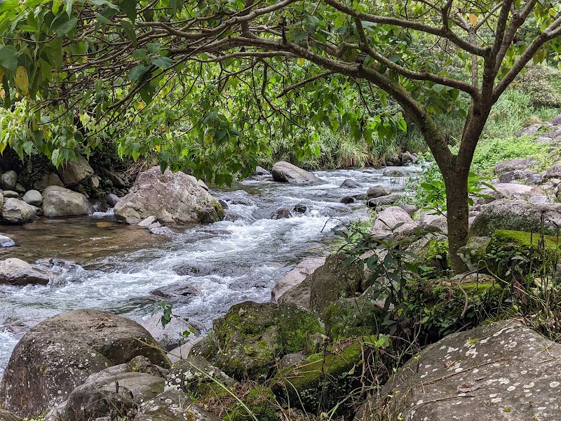 San Ramón Waterfall: Nature's Gem in Boquete - San Ramón Waterfall