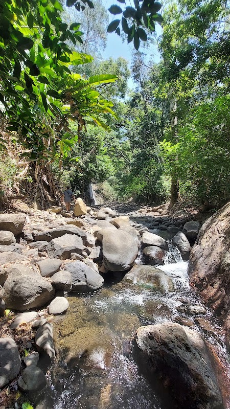 Discover the Cascada Nativa in Sorá, Panama Oeste - Cascada Nativa