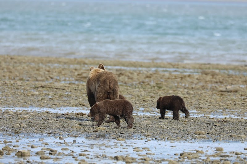 Pristine Wilderness of Lake Clark National Park - Lake Clark National Park and Preserve