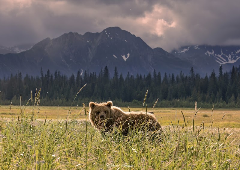Pristine Wilderness of Lake Clark National Park - Lake Clark National Park and Preserve