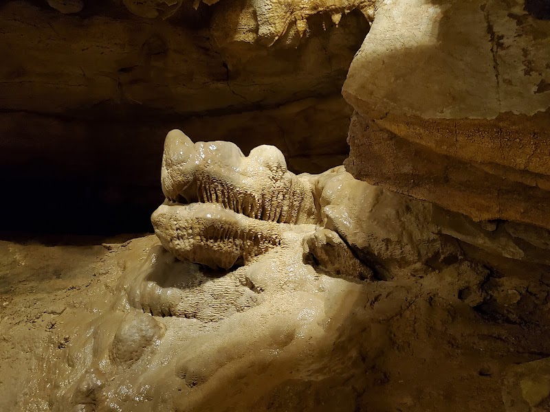 The Enchantment of Crystal Onyx Cave - Crystal Onyx Cave
