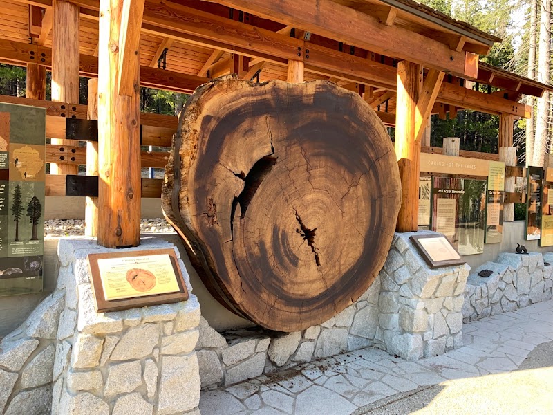 Giants of the Sierra: Mariposa Grove of Giant Sequoias - Mariposa Grove