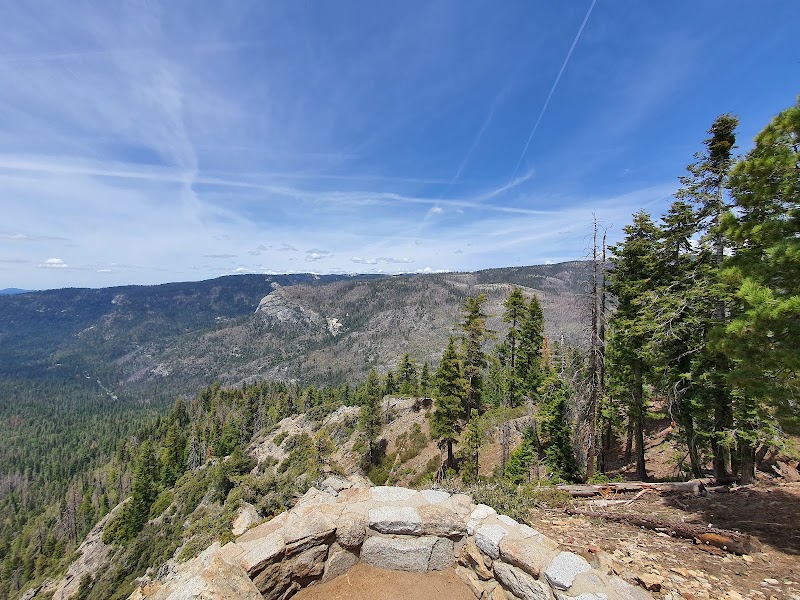 Giants of the Sierra: Mariposa Grove of Giant Sequoias surrounding landscape