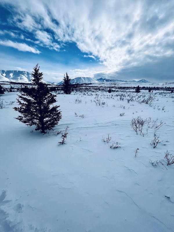 Majestic Mount Frances: Alaska's Pristine Wonder - Mount Frances