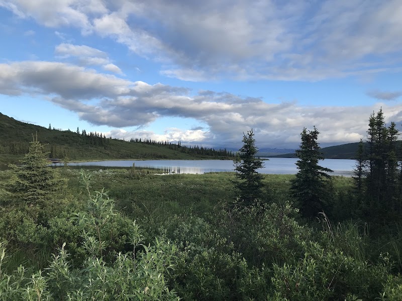 Peaceful Views of Wonder Lake - Wonder Lake