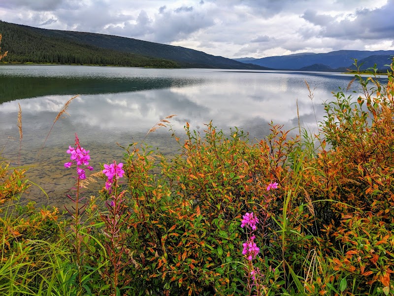 Peaceful Views of Wonder Lake - Wonder Lake