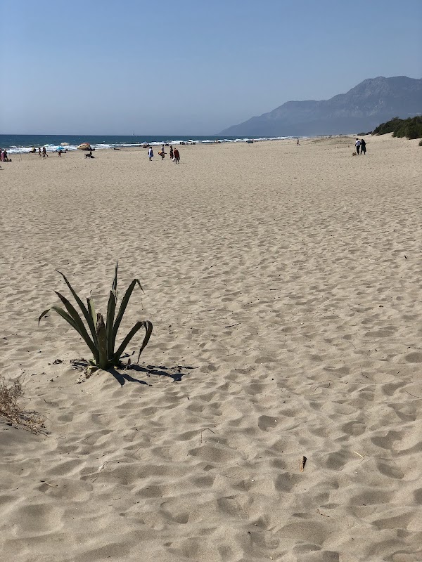 Sand, Sun, and Serenity: Patara Beach - Patara Beach