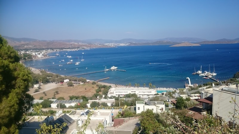 Relaxing by the Azure Waters of Deve Beach - Deve Beach