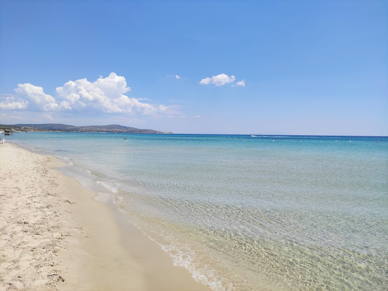 Sun-Kissed Shores of Altınkum Beach