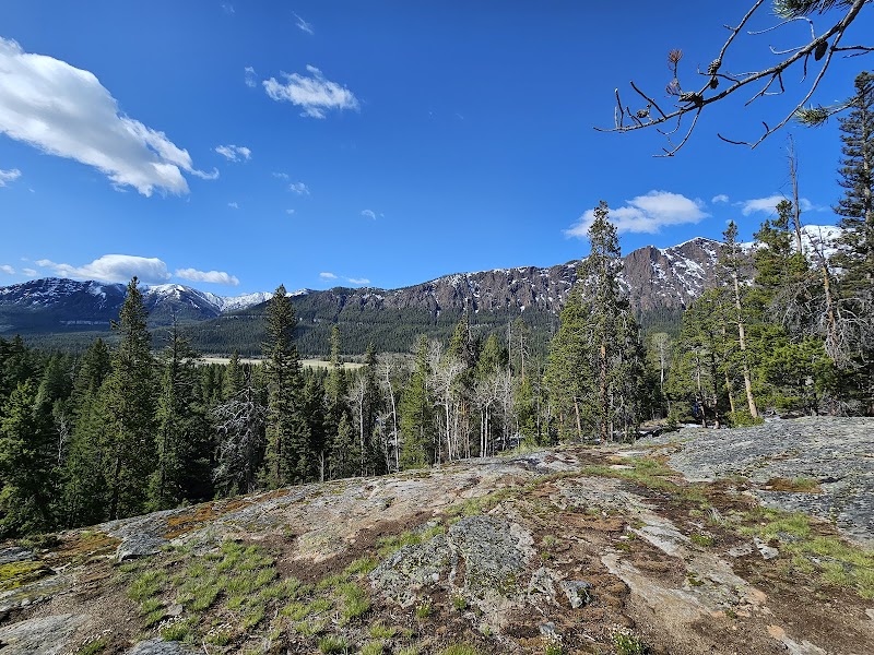 Discover the Wild Beauty of Shoshone National Forest surrounding landscape