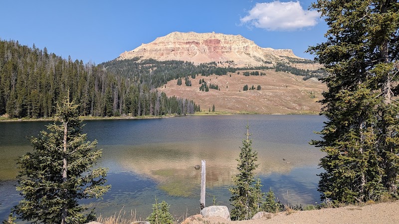 Discover the Wild Beauty of Shoshone National Forest - Shoshone National Forest