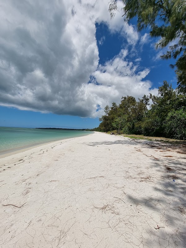 Sands and Serenity: Vumawimbi Beach - Vumawimbi Beach